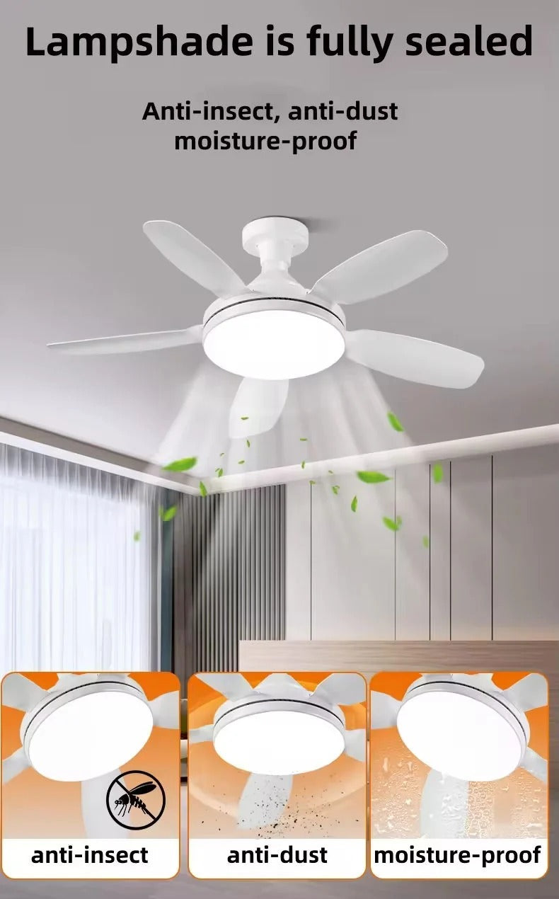 Torima Socket Fan Light