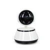 SmartEye Indoor Monitoring Camera