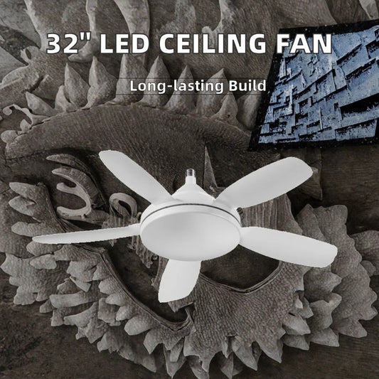 Torima Socket Fan Light